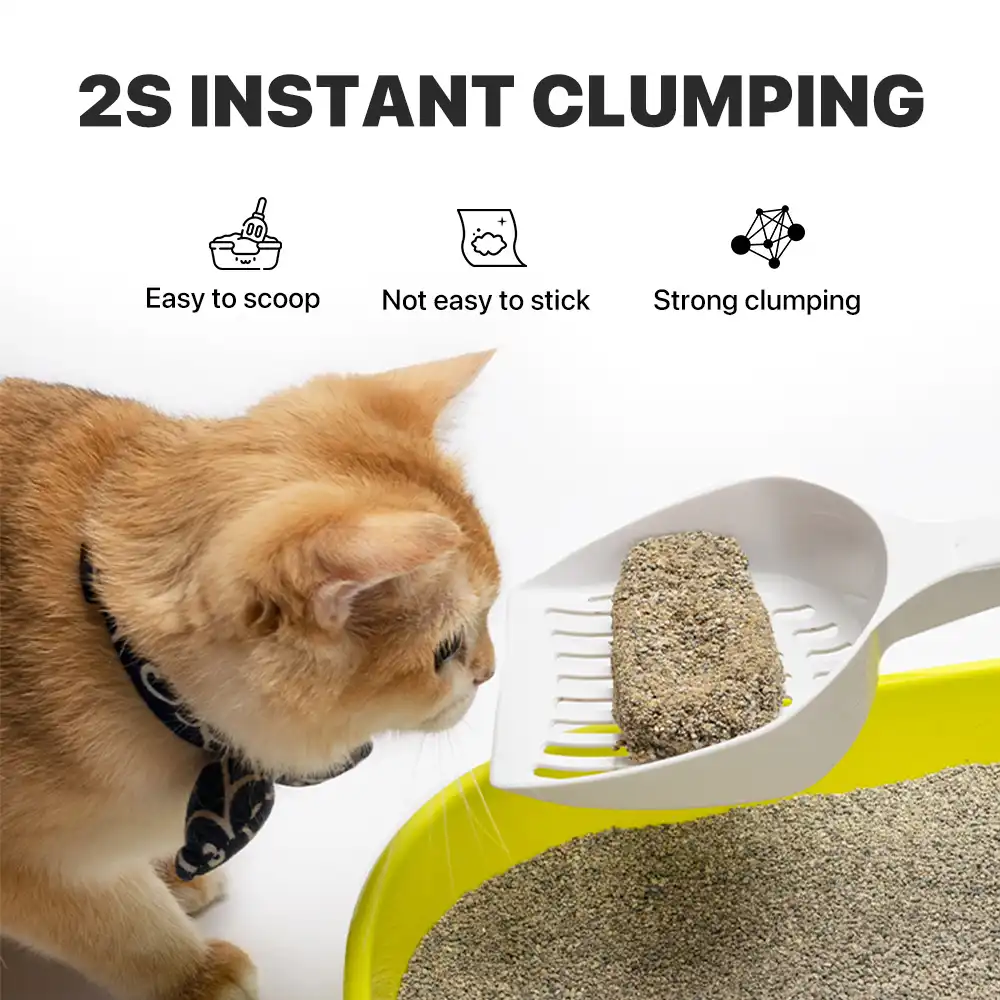 Neakasa Dog Car Seat, Nail Clipper & Mineral Cat Litter Bundle - Image 13